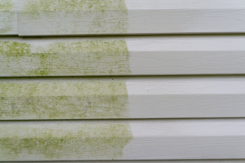 Mildew Vinyl Siding